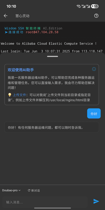Wisdom SSH 移动版界面